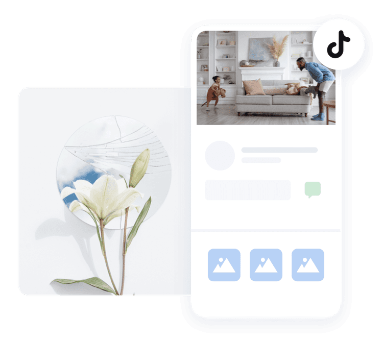 Live Proxies TikTok
