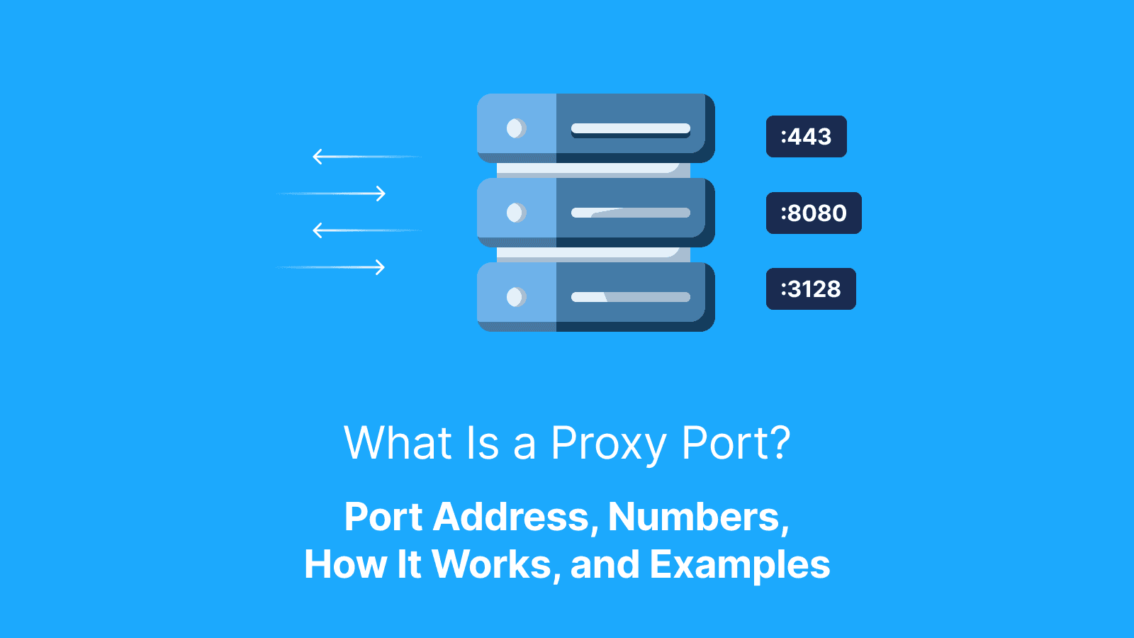 What Is a Proxy Port