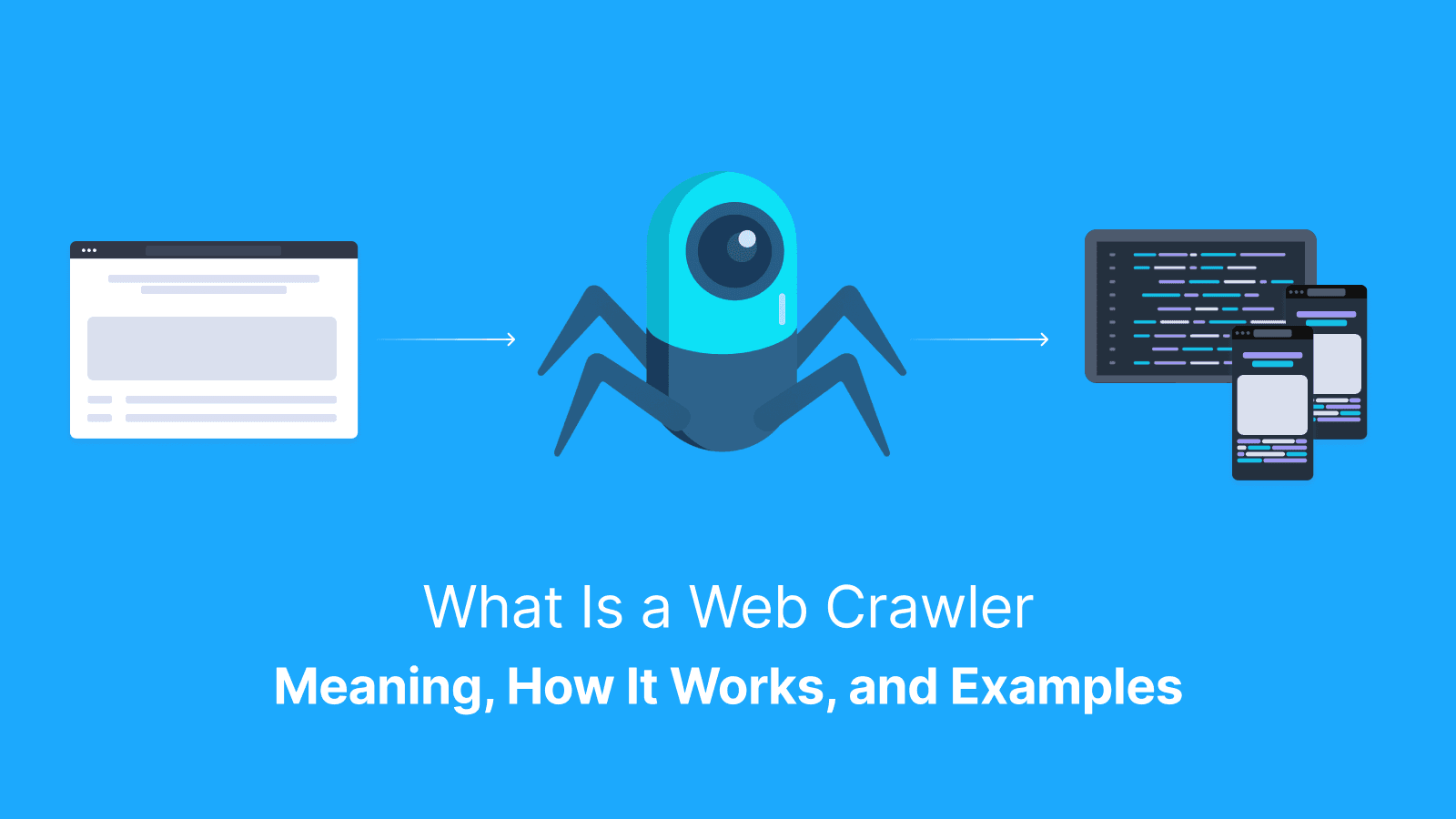 What is a web crawler